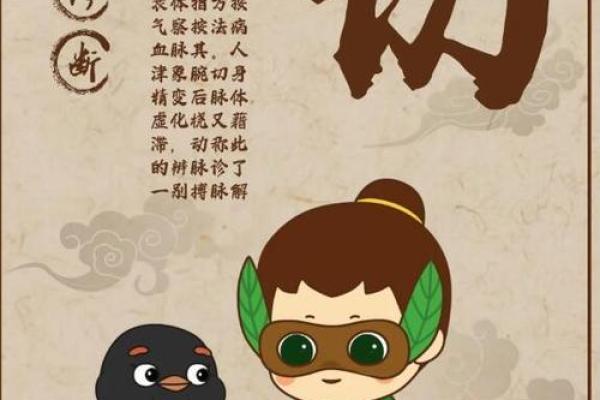 知识：风水术的望、闻、问、切