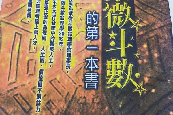紫薇斗数全书在线阅读