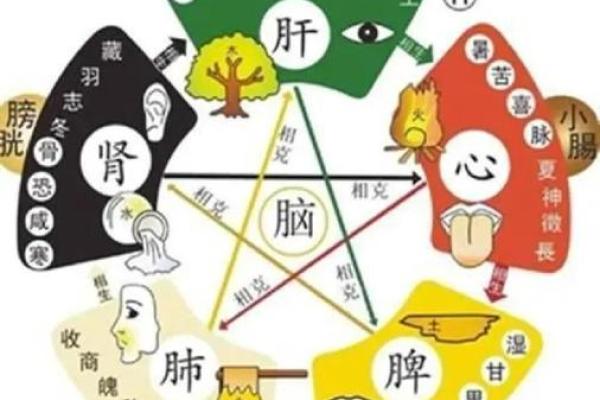 八字测算健康状况，免费预测身体状况，把握健康前景