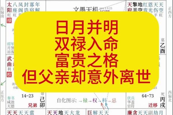 紫薇斗数如何看命运