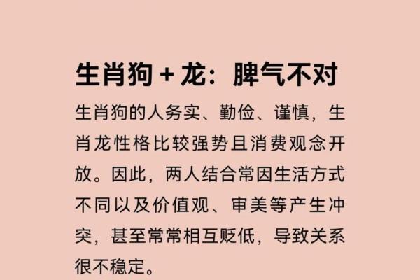 算命先生狗年出生的命运