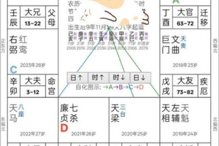 斗数紫薇阁