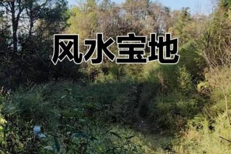 风水征兆，恭喜你入住风水宝地