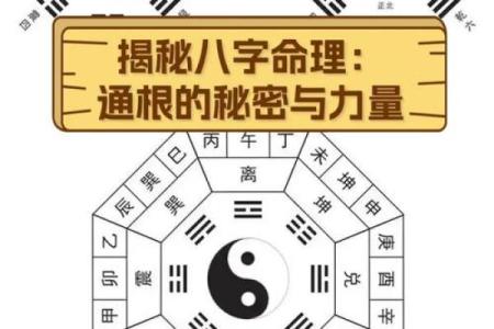 八字中的通根何解 八字通根含义是什么