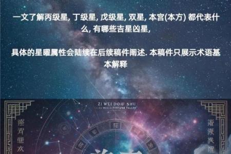 紫微斗数推广价值 紫微斗数专业术语？