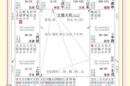紫微星入命宫与其他星曜之关系分析#紫微斗数教学