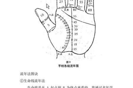 手掌算命