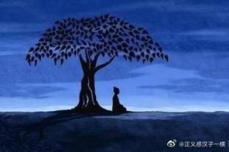 上海算命很准的地方,松江区哪里算命最准