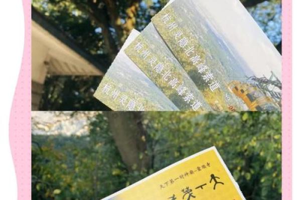 灵顺寺签灵么