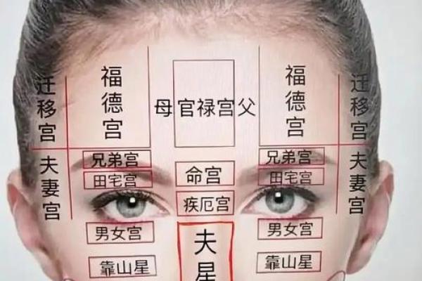 法令纹面相算命看看你命运好坏