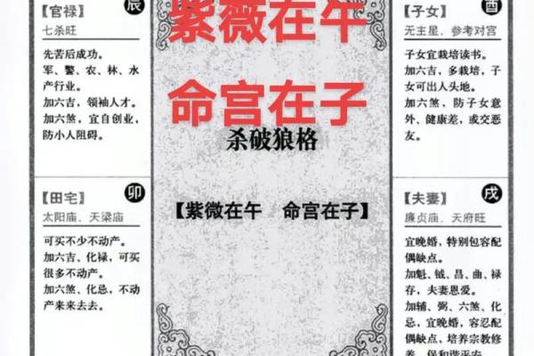 紫薇斗数太阳夫妻