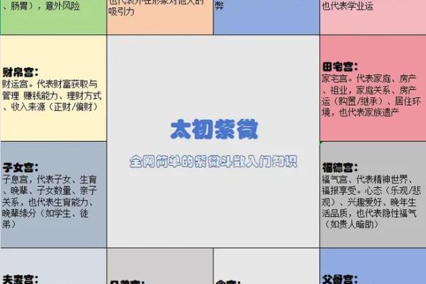 紫薇斗数左右夹火星