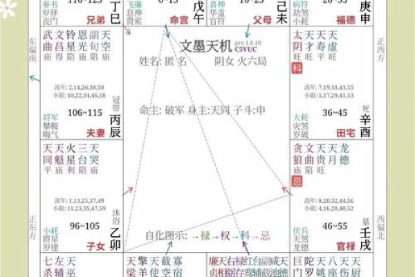 紫薇斗数父疾线看什么