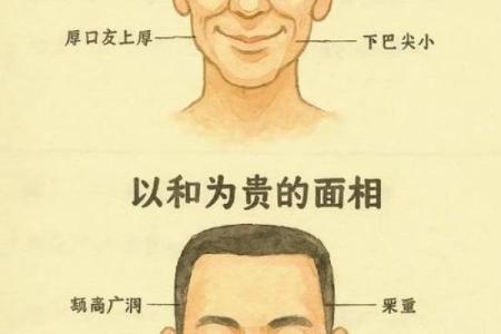 八字眉毛修饰图解女人命运