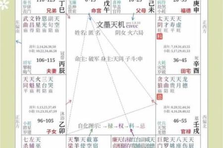 紫薇斗数父疾线看什么