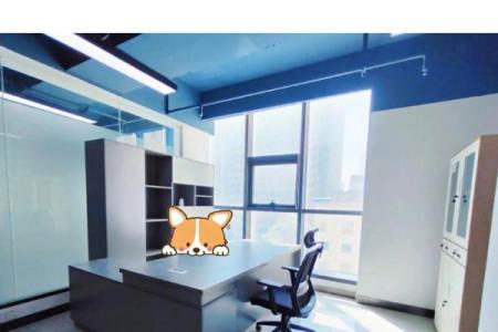 老板办公室风水摆设与布局背后有墙讲究