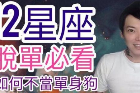 谁才是十二星座中的单身贵族？