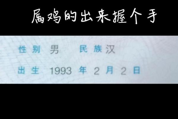 中午12点出生的属鸡男孩如何起名合适姓名