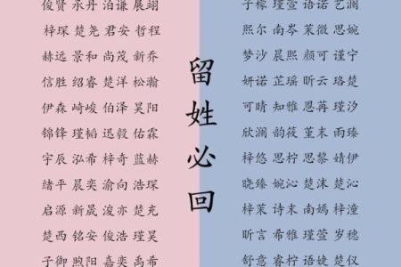 2019年4月11号丑时出生的男孩起名方法姓名
