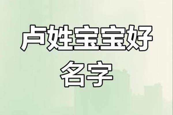 卢姓男孩名字大全-卢姓男孩起名字大全-卢姓名字大全姓名