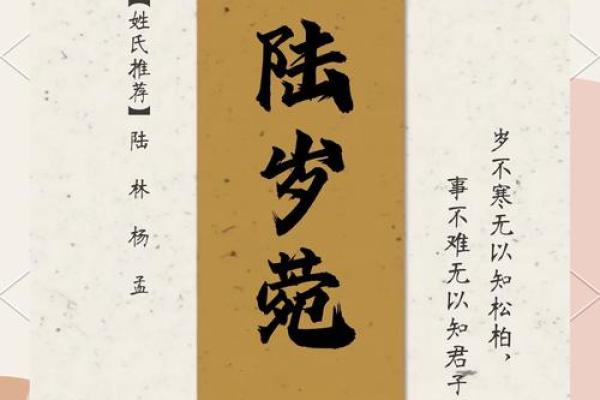 成姓女孩名字大全-成姓女孩起名字大全-成姓名字大全姓名