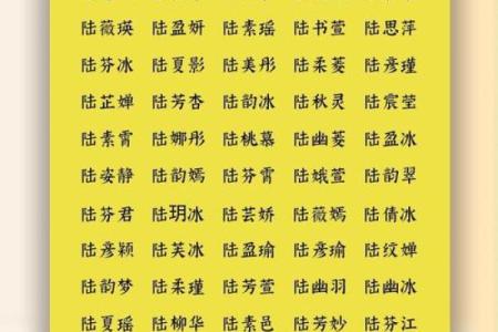 陆姓男孩名字大全-陆姓男孩起名字大全-陆姓名字大全姓名