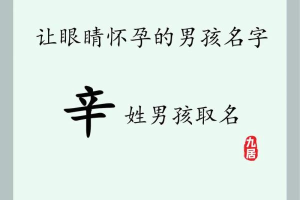 2019年3月20号巳时出生的男孩起名方法姓名