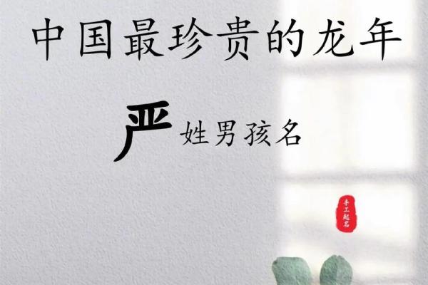 严姓女孩名字大全-严姓女孩起名字大全-严姓名字大全姓名