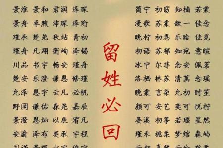 2019年3月28号未时出生的男孩如何起名姓名