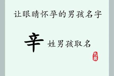 2019年3月20号巳时出生的男孩起名方法姓名