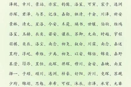2019年3月23号子时出生的男孩要怎么起名字姓名