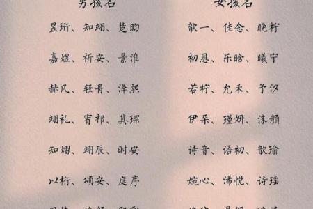 好听的孟姓女孩起名姓名