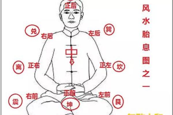 八卦风水；任何学科从基础入手