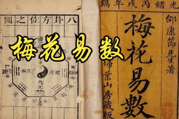紫薇斗数梅花易数