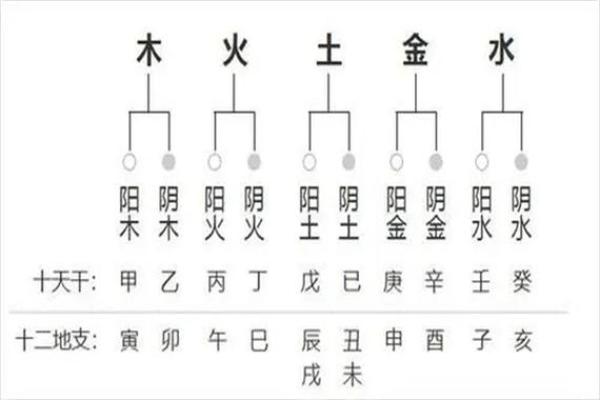 四柱八字大运