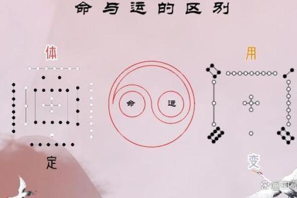 四柱八字大运