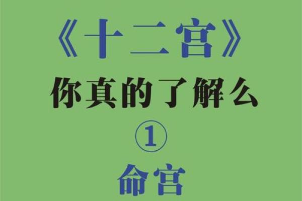 欢迎补充#紫薇斗数