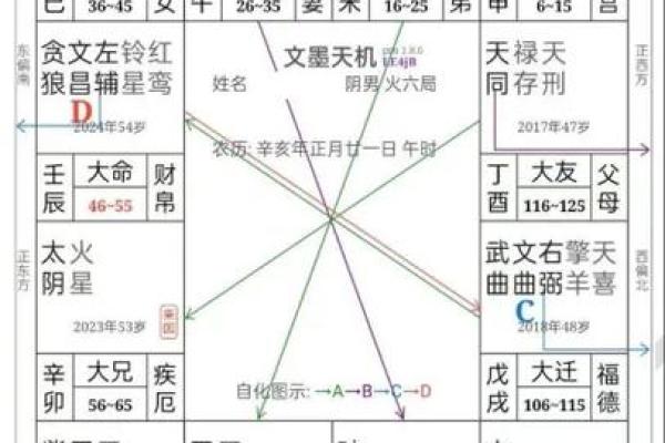 清朝道光皇帝紫微斗数命盘 清代道光？