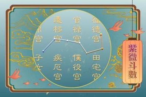 紫微斗数之廉贞星双星组合实战