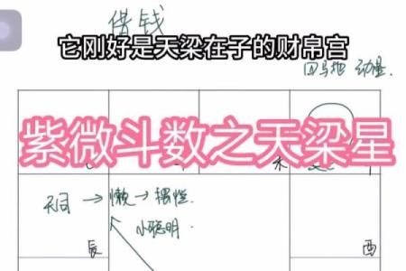 紫微斗数诸星落诸宫之：天梁星父母宫详解