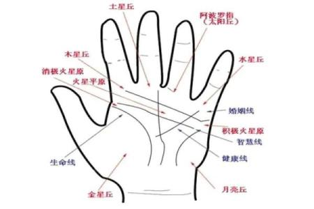 手相算命之十大手相富贵纹