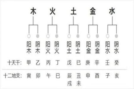 四柱八字大运