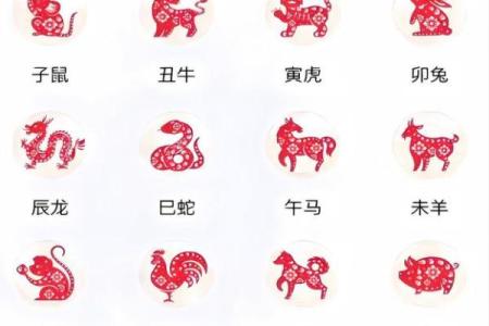 属猴申时出生的男孩如何起名，宜用什么字姓名