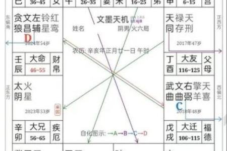 清朝道光皇帝紫微斗数命盘 清代道光？