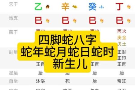 2024年12月4日农历八月二十九出生的孩子八字是什么