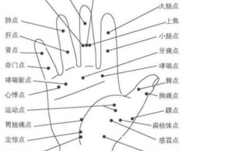 十指指纹算命看你命运吉凶，最全最具体最准
