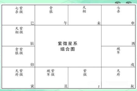 紫微斗数之廉贞星双星组合实战