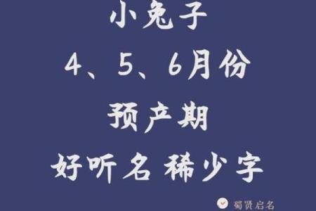 4月份出生的属兔女孩起什么名字最好姓名